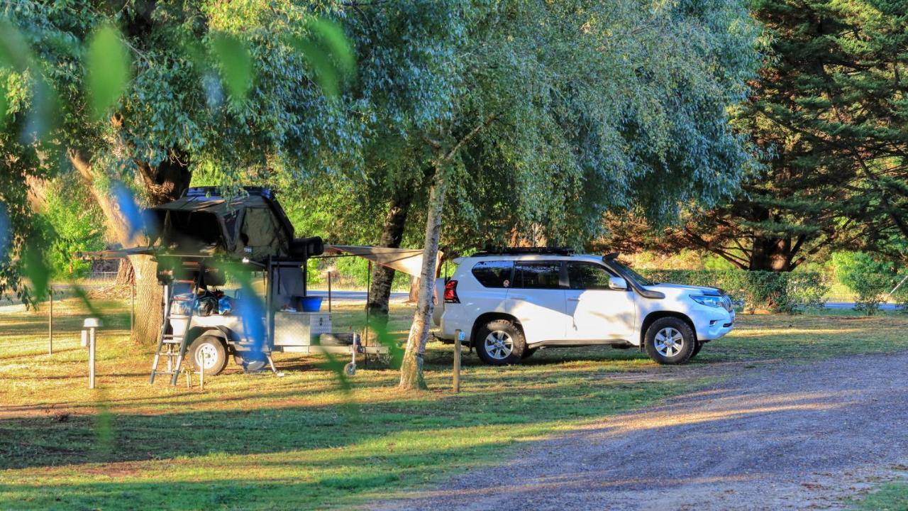 Big4 Porepunkah Holiday Park Bright Eksteriør billede